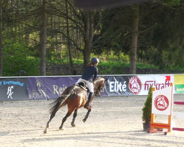 Reitturnier Karlsfeld 2023