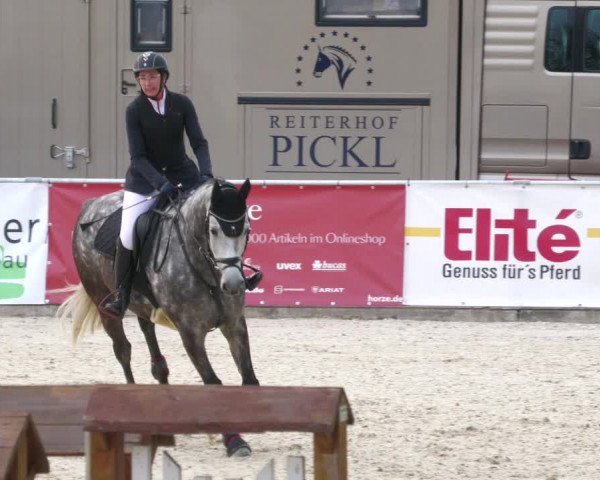 Reitturnier Karlsfeld 2023
