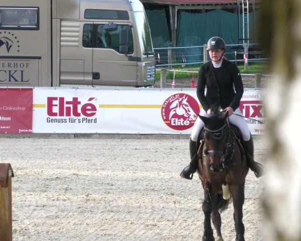 Reitturnier Karlsfeld 2023
