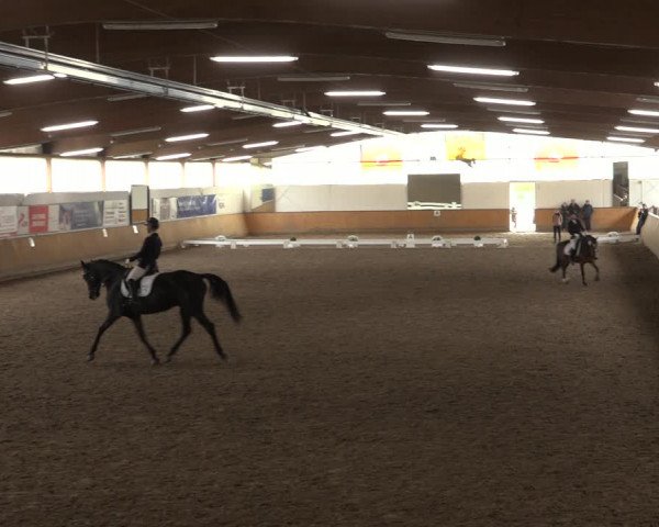 Reitturnier Hildesheim-Steuerwald 2023
