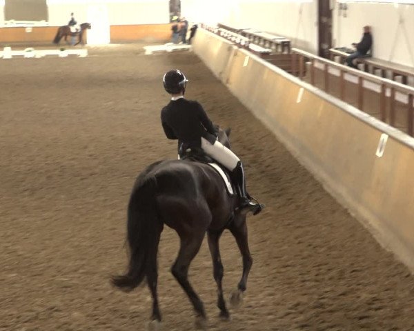 Reitturnier Hildesheim-Steuerwald 2023