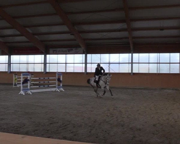 Reitturnier Polzow 2021