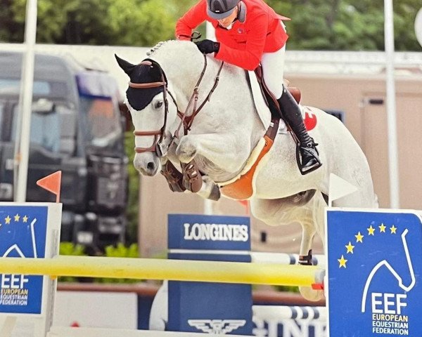 jumper Calder (Holsteiner, 2009, from Casall Ask)