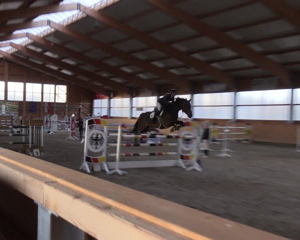 Reitturnier Polzow 2021