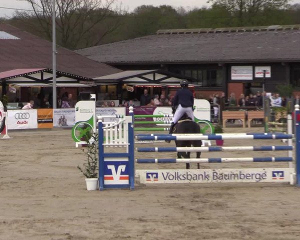 Reitturnier Havixbeck 2023