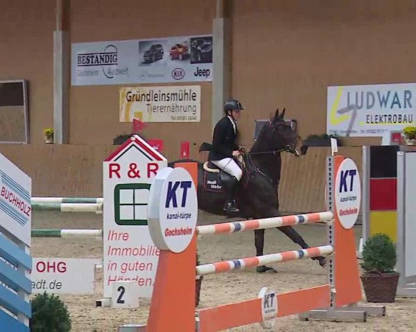 Reitturnier Grafenrheinfeld/Ufr. 2021