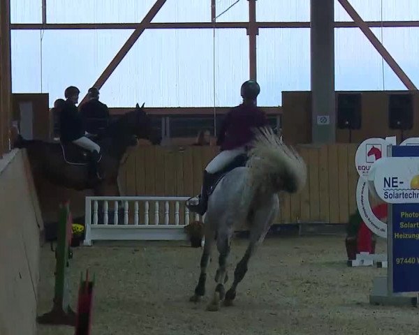 Reitturnier Grafenrheinfeld/Ufr. 2021