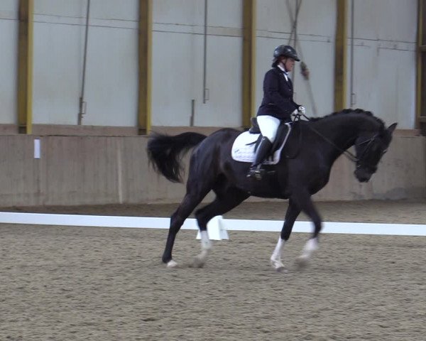 Reitturnier Gross Enzersdorf - Thavonhof 2023