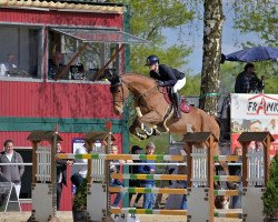jumper Unicorn 14 (Holsteiner, 2016, from Constanzehof's Barcley)