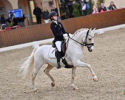 broodmare Tovdals Golden Future Imperial (Danish Reitpony, 2009, from CJ Chargon Bredager)