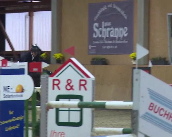 Reitturnier Grafenrheinfeld/Ufr. 2021
