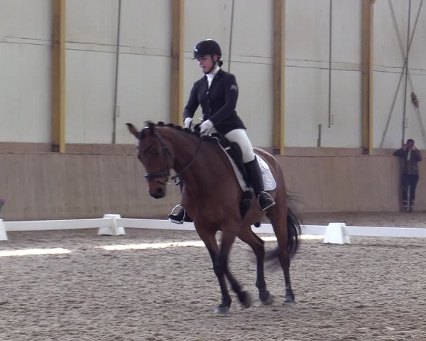 Reitturnier Gross Enzersdorf - Thavonhof 2023