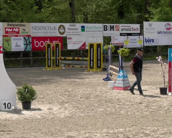 Reitturnier Sins 2023