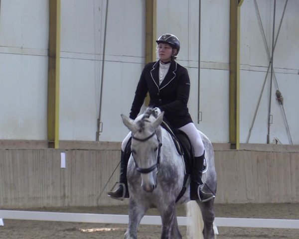 Reitturnier Gross Enzersdorf - Thavonhof 2023