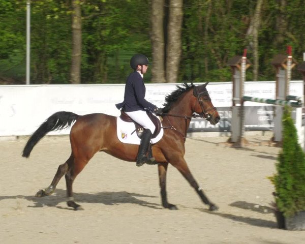 Reitturnier Karlsfeld 2023