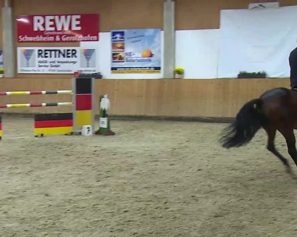 Reitturnier Grafenrheinfeld/Ufr. 2021