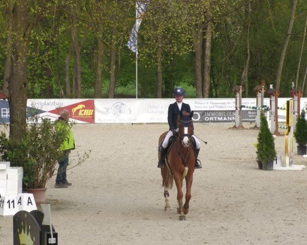 Reitturnier Karlsfeld 2023