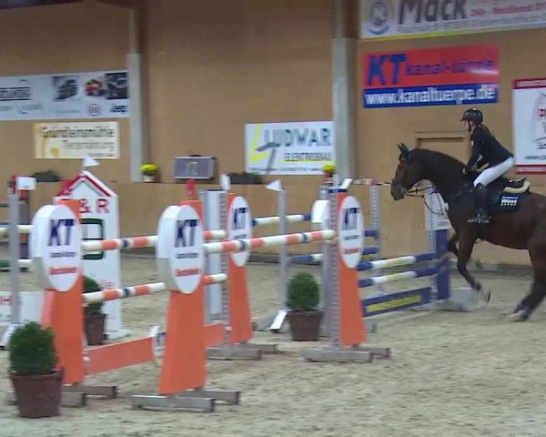 Reitturnier Grafenrheinfeld/Ufr. 2021
