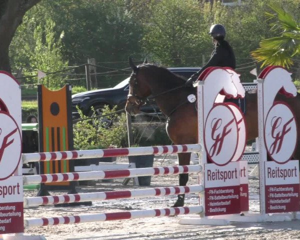 Reitturnier Handorf 2023