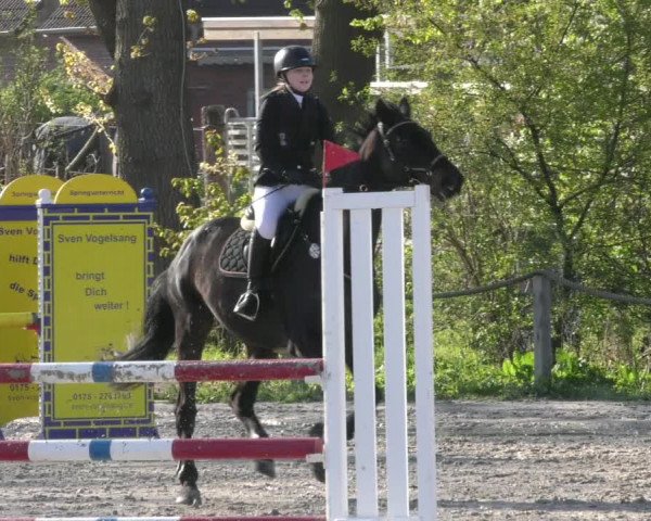 Reitturnier Handorf 2023