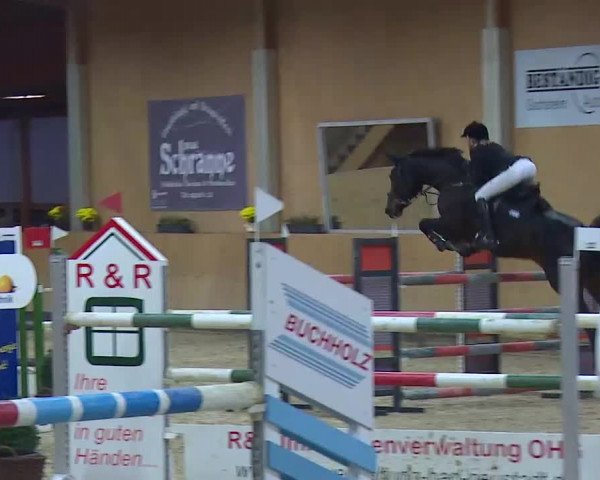Reitturnier Grafenrheinfeld/Ufr. 2021