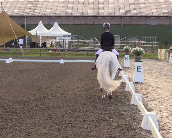 Reitturnier Kleinsolt 2023