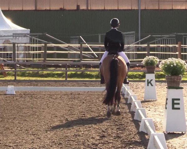 Reitturnier Kleinsolt 2023