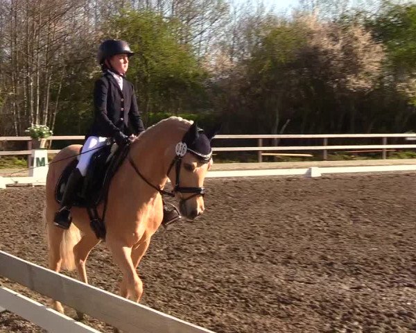 Reitturnier Kleinsolt 2023