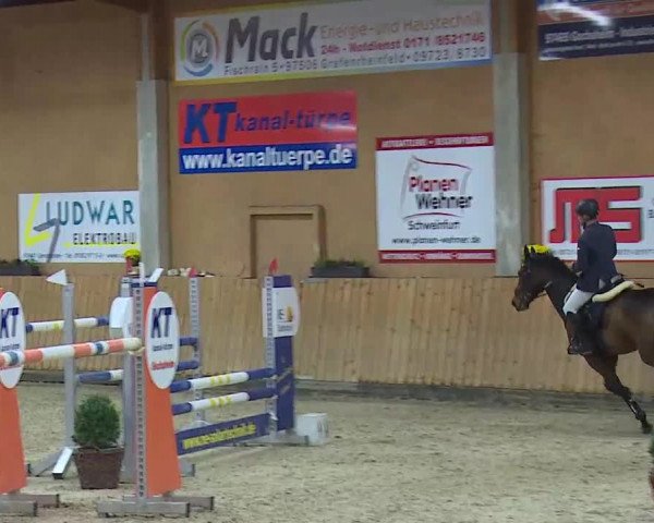 Reitturnier Grafenrheinfeld/Ufr. 2021