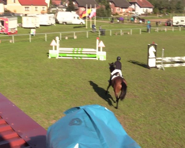 Reitturnier Colbitz 2023