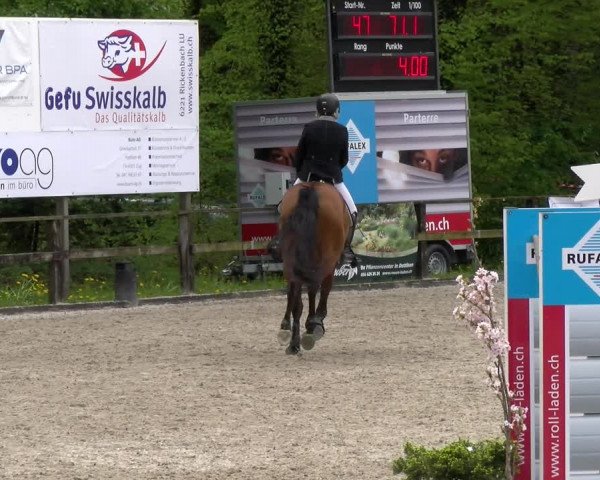 Reitturnier Sins 2023