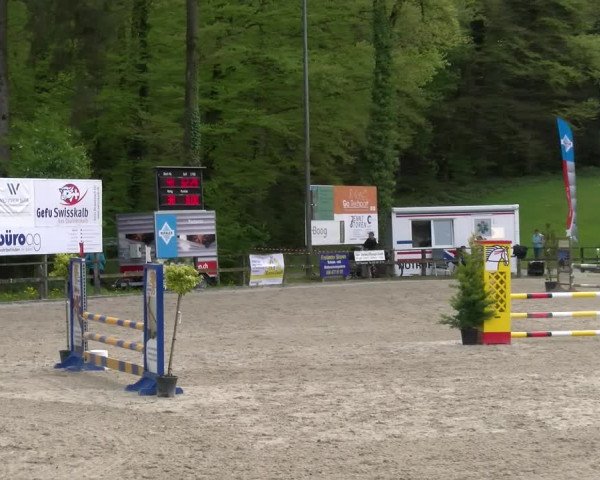 Reitturnier Sins 2023