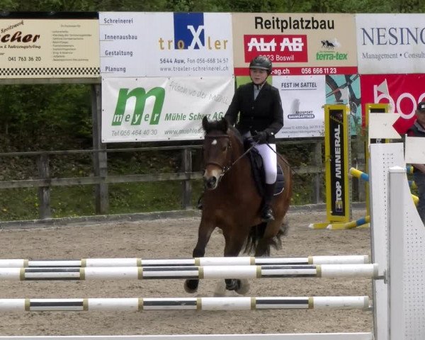 Reitturnier Sins 2023