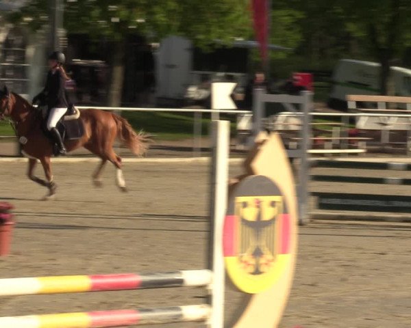 Reitturnier Olfen-Vinnum 2023