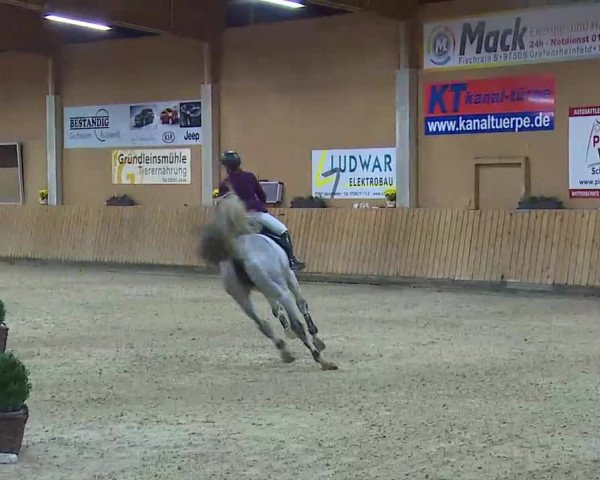 Reitturnier Grafenrheinfeld/Ufr. 2021