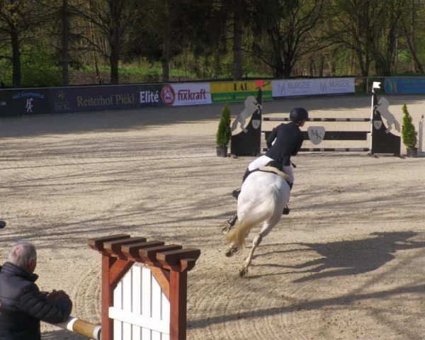 Reitturnier Karlsfeld 2023