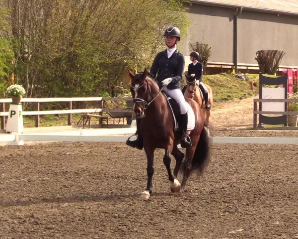 Reitturnier Kleinsolt 2023