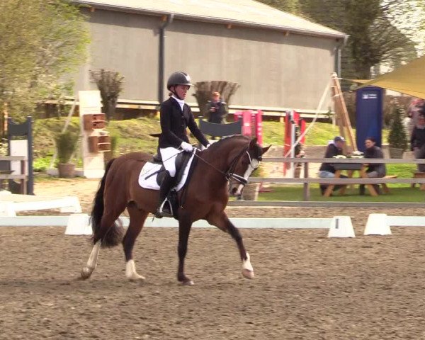 Reitturnier Kleinsolt 2023