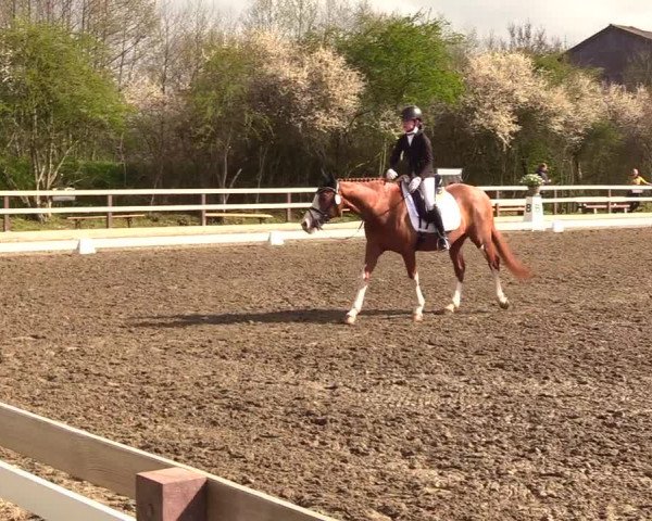 Reitturnier Kleinsolt 2023