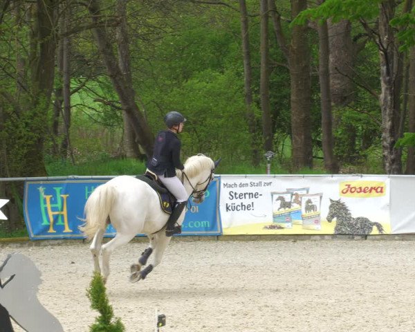 Reitturnier Karlsfeld 2023