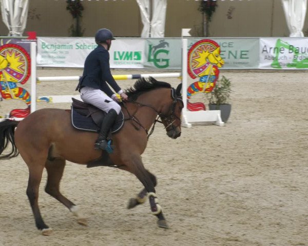 Reitturnier Karlsfeld 2023