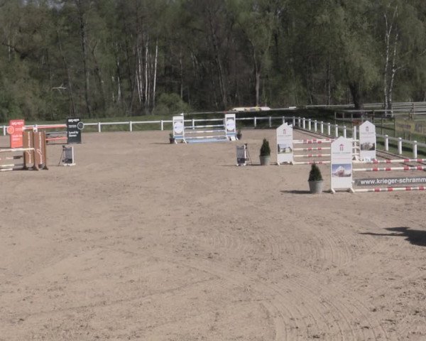 Reitturnier Oberkaufungen 2023