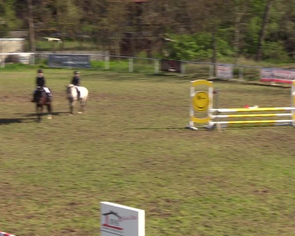Reitturnier Colbitz 2023
