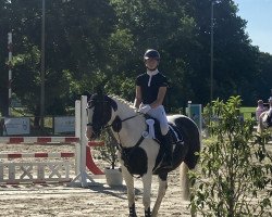 jumper Tina 475 (Ukrainisches riding horse, 2007)