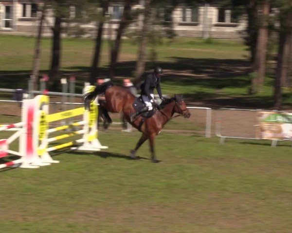 Reitturnier Colbitz 2023