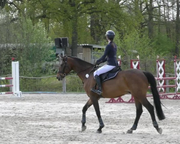 Reitturnier Handorf 2023