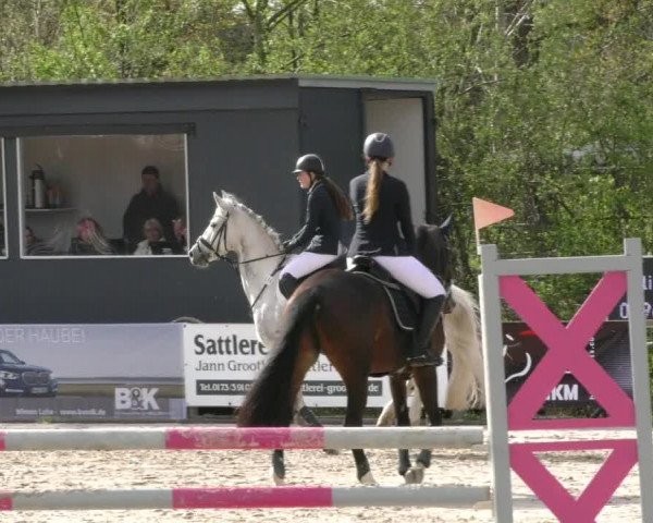 Reitturnier Handorf 2023
