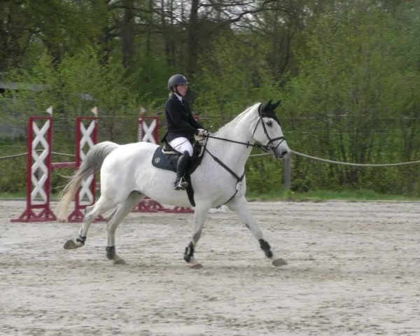 Reitturnier Handorf 2023
