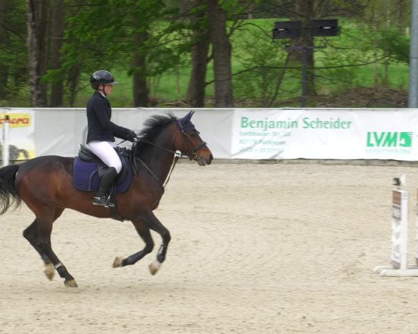 Reitturnier Karlsfeld 2023