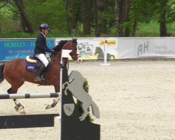 Reitturnier Karlsfeld 2023